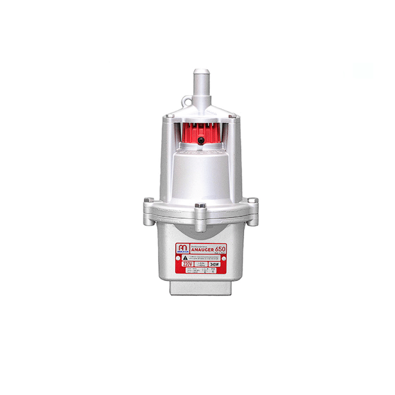 BOMBA ANAUGER 650 5G 220V