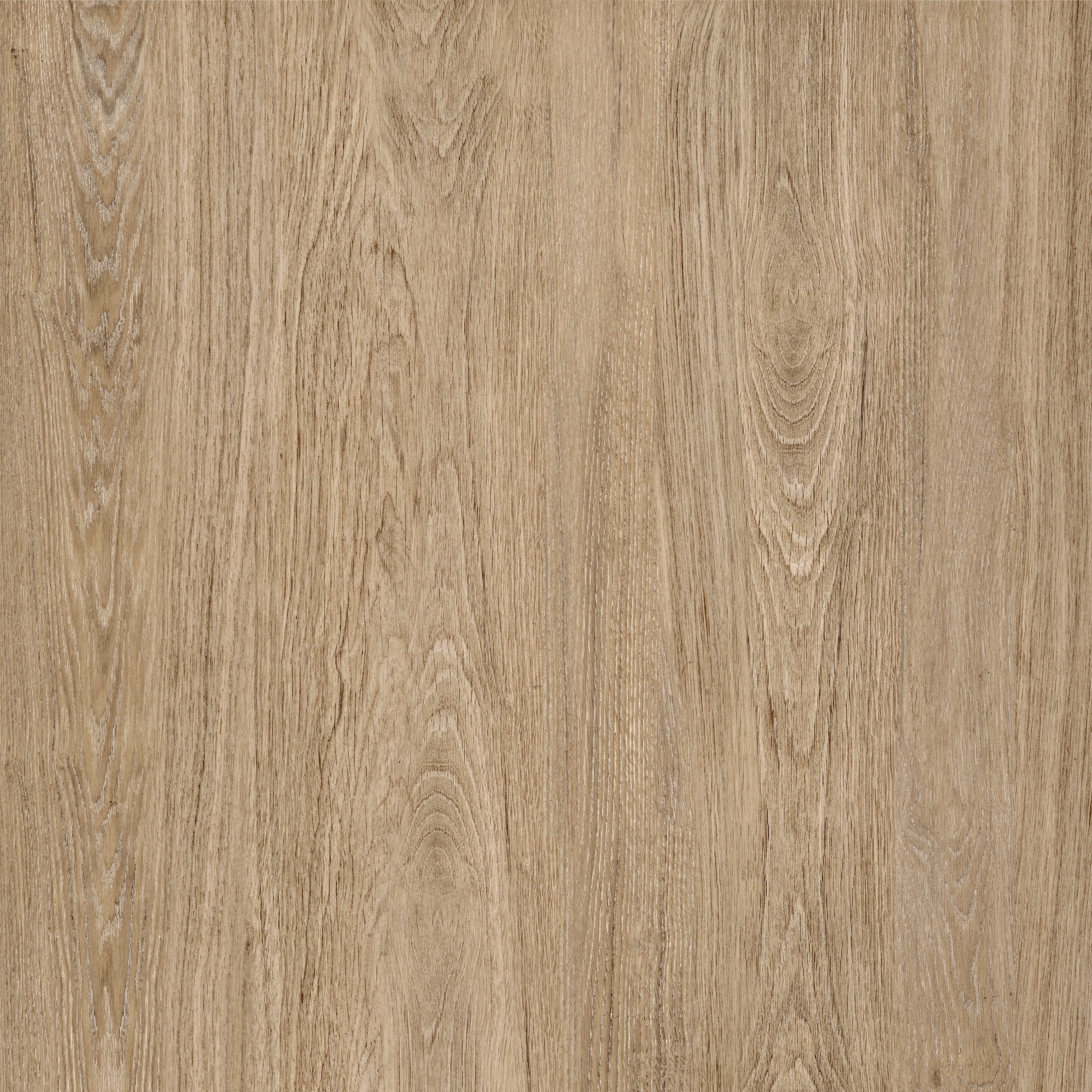 CERAMICA POL. SOLO RT 56X56 LC CX C/2,21